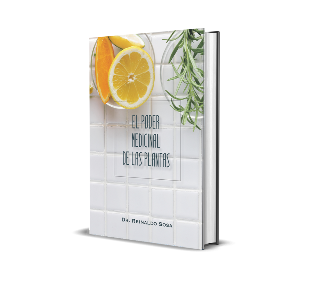 EL PODER MEDICINAL DE LAS PLANTAS