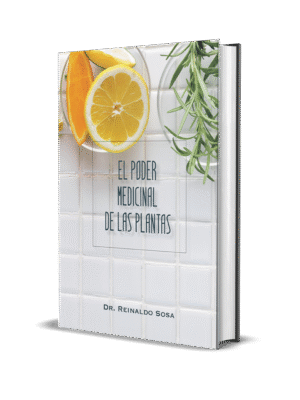 EL PODER MEDICINAL DE LAS PLANTAS