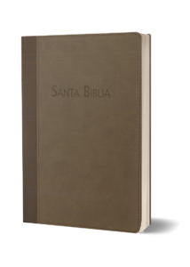 BIBLIA RVC-MEDIANA-MARRON-HSM