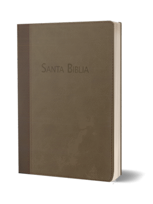 BIBLIA RVC-MEDIANA-MARRON-HSM