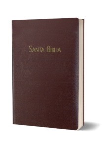 BIBLIA RVC-MEDIANA-PIEL-VINO-HSM