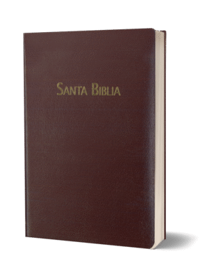 BIBLIA RVC-PEQUENA-PIEL VINO-HSM