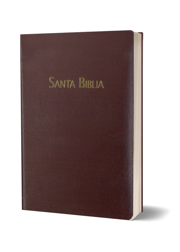 BIBLIA RVC-PEQUENA-PIEL VINO-HSM