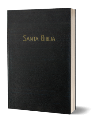 BIBLIA RVC-PEQUENA-PIEL NEGRA-HSM