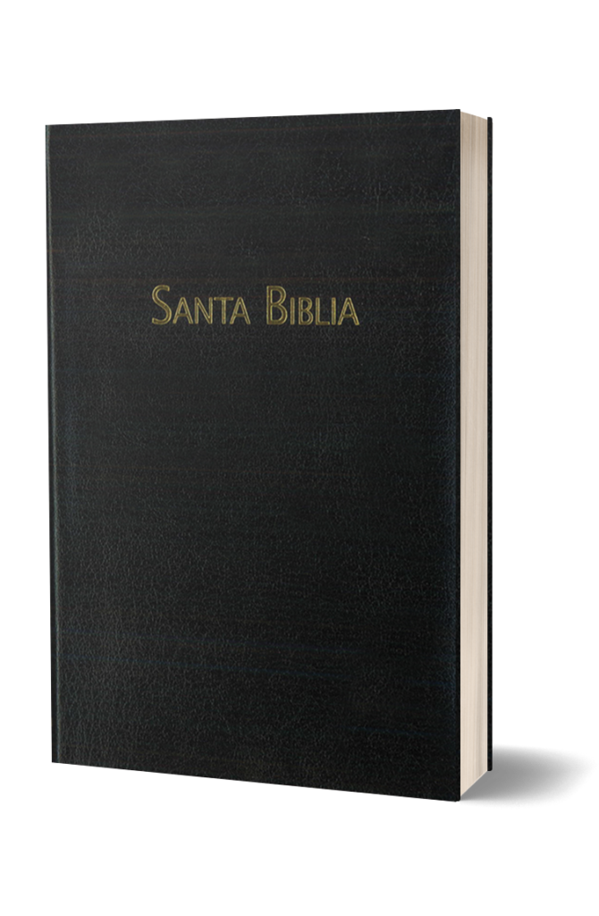 BIBLIA RVC-PEQUENA-PIEL NEGRA-HSM
