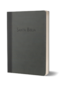 BIBLIA RVC-PEQUEÑA-PIEL-GRIS
