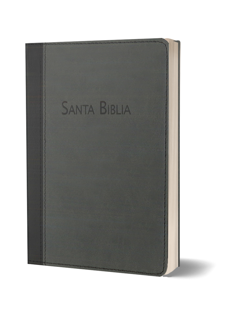 BIBLIA RVC-PEQUEÑA-PIEL-GRIS