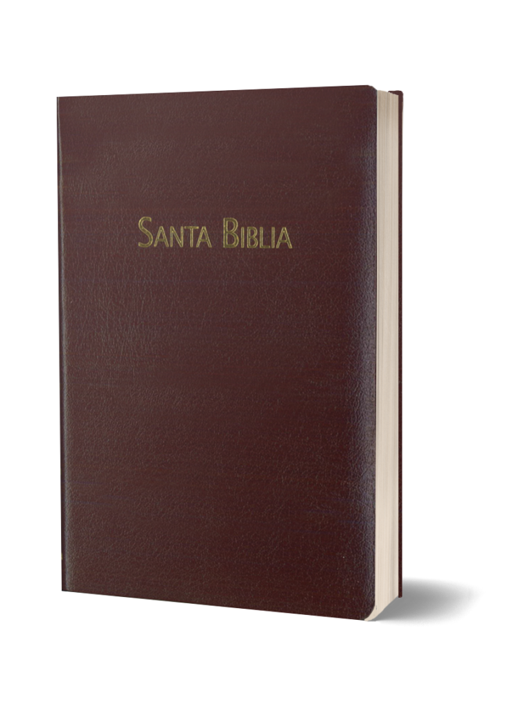 BIBLIA RVC-PEQUEÑA-PIEL-VINO