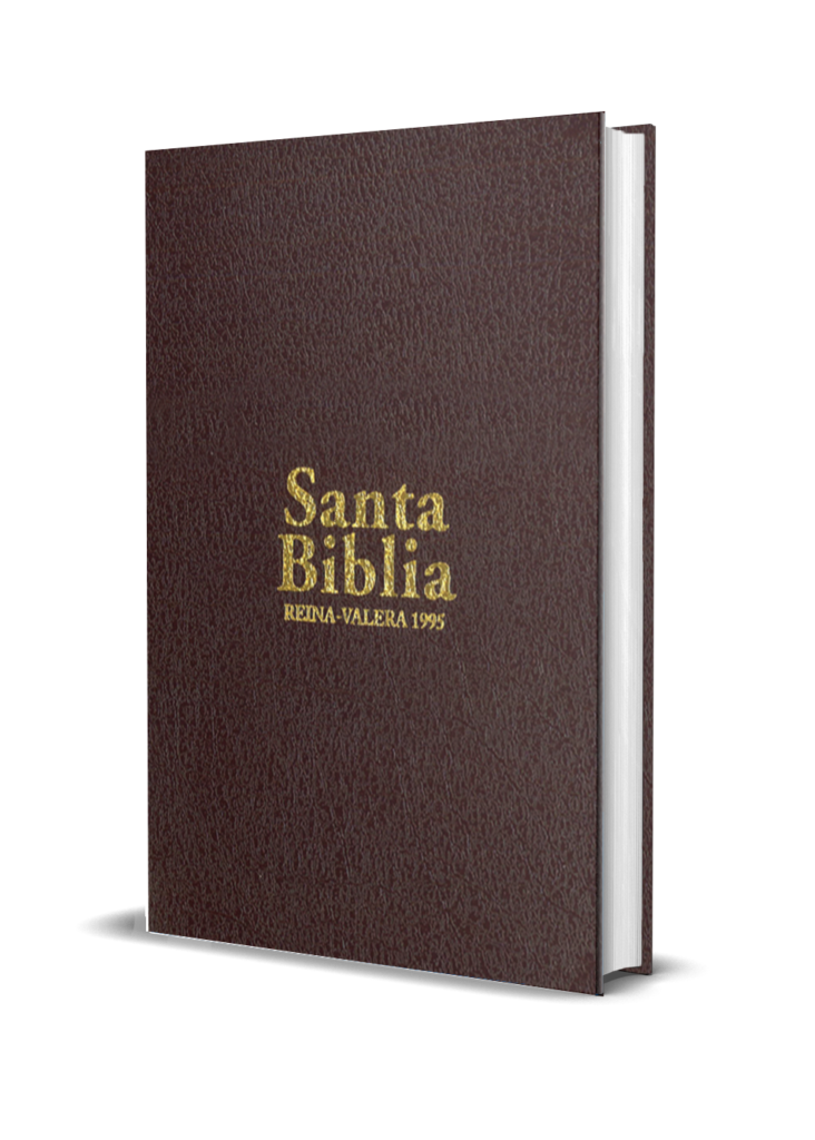 BIBLIA RVR95-MUJER-PEQUEÑA-VINO