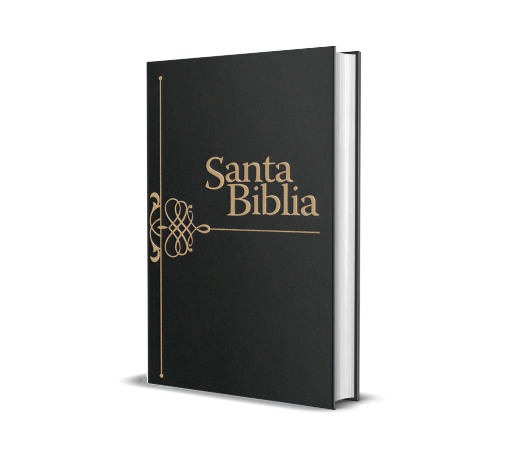 BIBLIA MISIONERA RV95