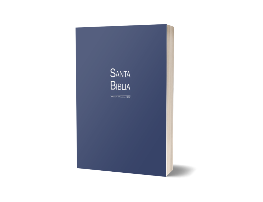 BIBLIA RV95 RUSTICA- AZUL FE DE JESUS-LJR