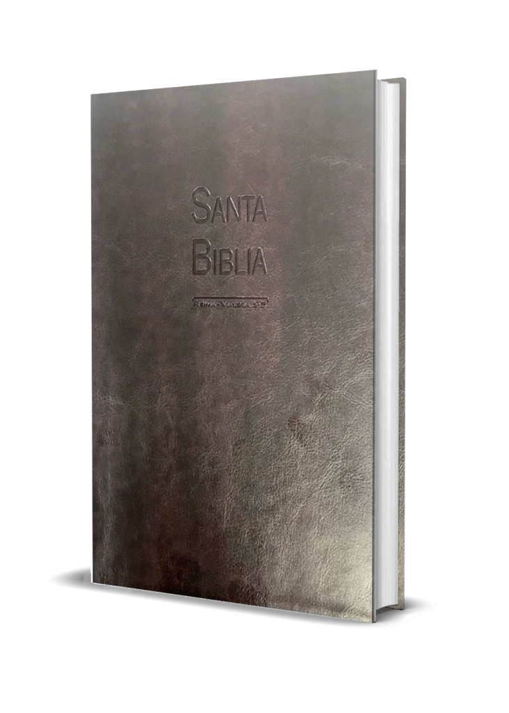 BIBLIA RV95-LETRA GIGANTE-BURGUNDY