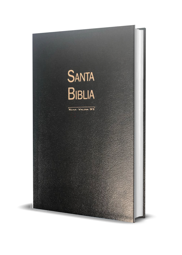 BIBLIA-RV95-LETRA GIGANTE-NEGRA