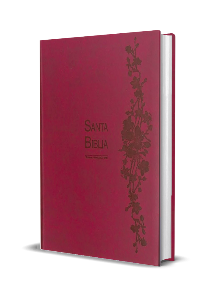 BIBLIA RV95-MUJER-VINO-HSM