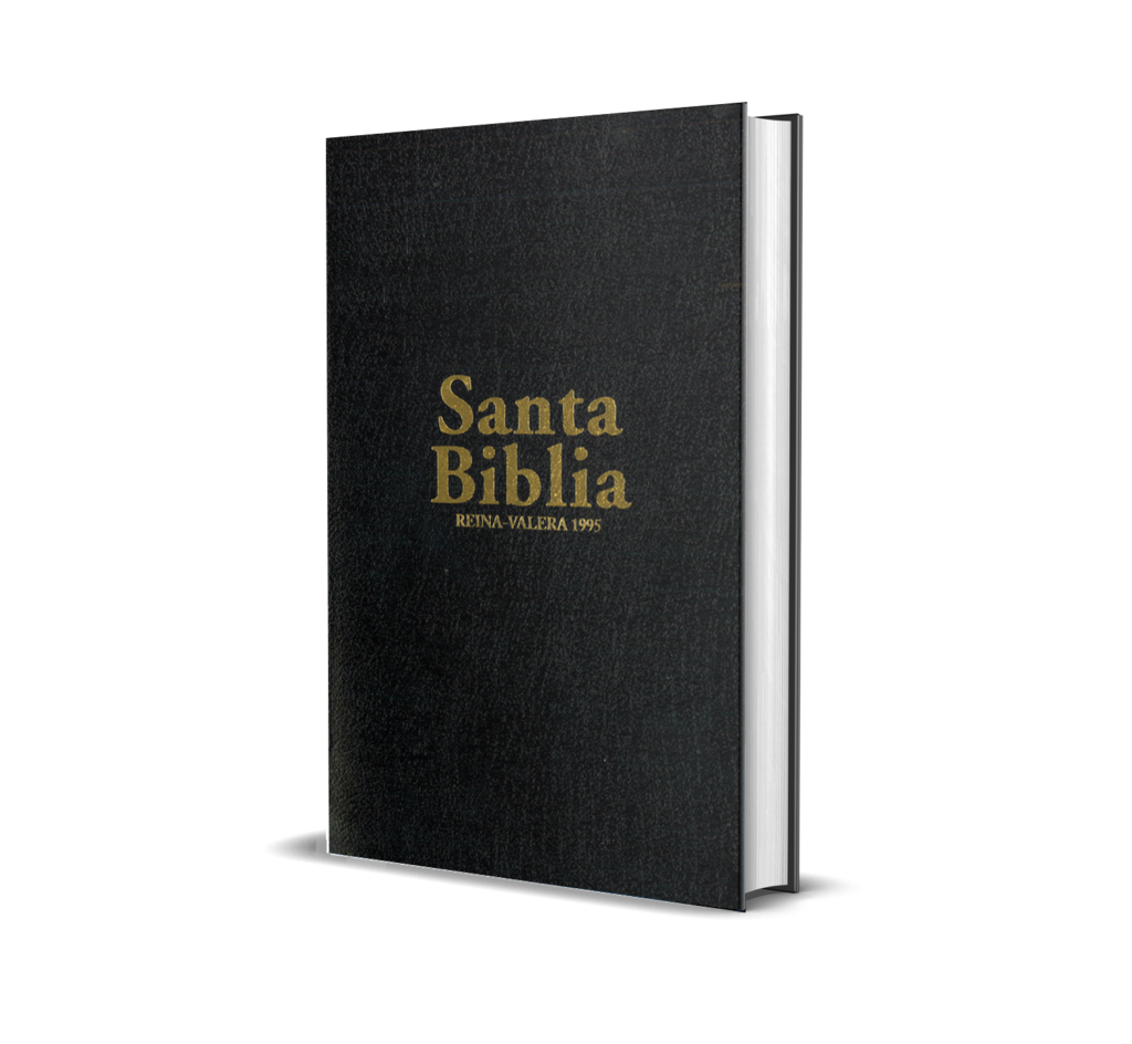 BIBLIA-RV95-PASTORAL-HSM