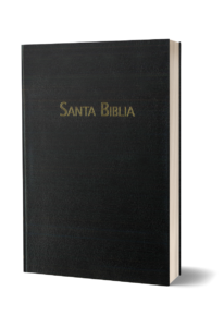 BIBLIA RVC-PASTORAL-HSM