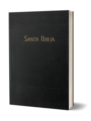 BIBLIA RVC-PASTORAL-HSM