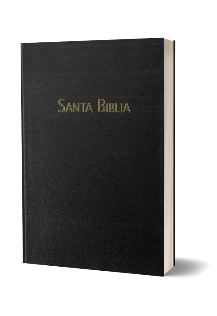 BIBLIA RVC-PASTORAL-HSM