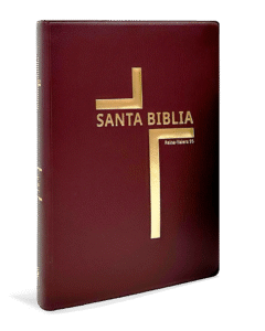 BIBLIA RV-95 LETRA-CAFÉ GRANDE CON HIMNARIO