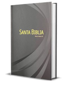 BIBLIA RV-95 LETRA GRANDE GRIS