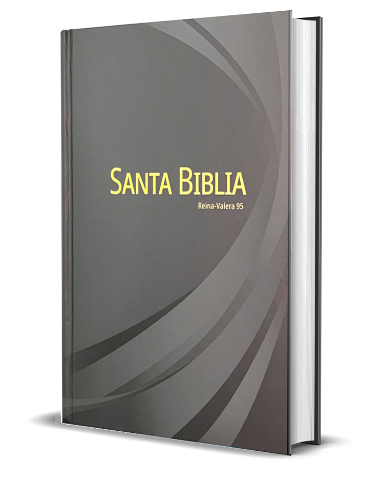 BIBLIA RV-95 LETRA GRANDE GRIS
