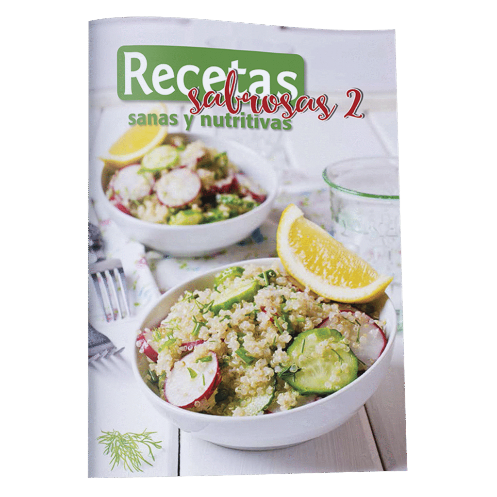 REVISTA – RECETAS SABROSAS 2