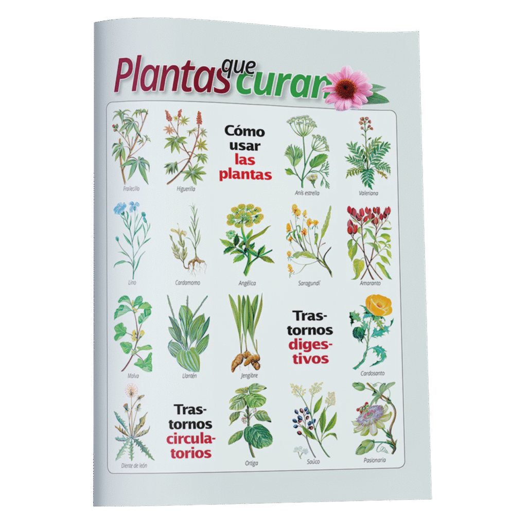 REVISTA – PLANTAS QUE CURAN: TRASTORNOS DIGESTIVO Y CIRCULATORIOS